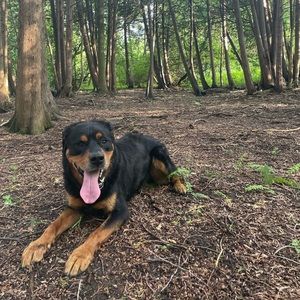 Meet your Posher, Marlene